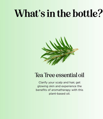 Pure Tea Tree Oil for Hair Skin and Nails - 100% Pure Undiluted Tea Tree Essential Oil with Dropper for Topical Uses Aromatherapy Diffusing and Home and Beauty Diys - Vegan and Cruelty Free (1 Fl Oz)